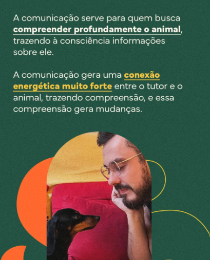 Foto 4 de 5