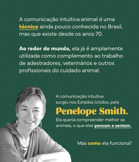 Foto 2 de 5