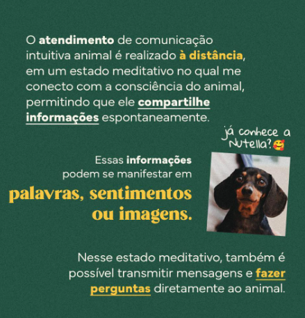 Foto 3 de 5