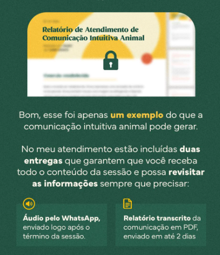 Foto 5 de 5