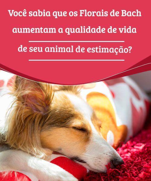 Foto 2 de 2