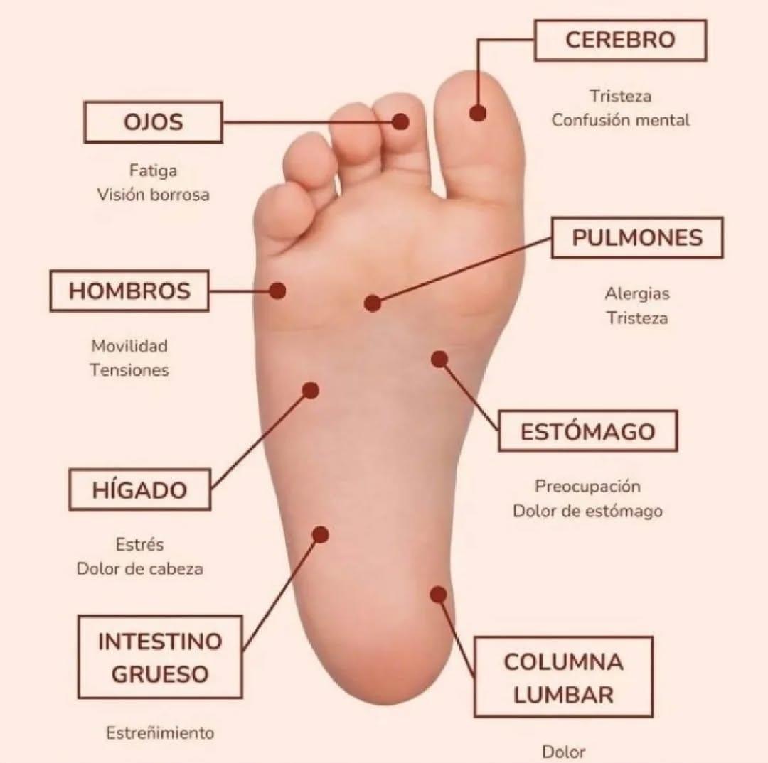 Foto 3 de 3