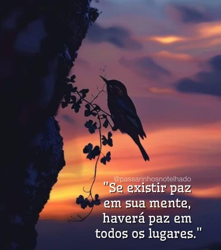 Foto 2 de 3