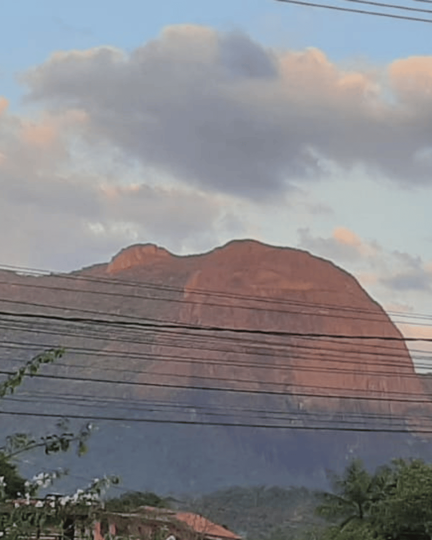 Foto 5 de 14