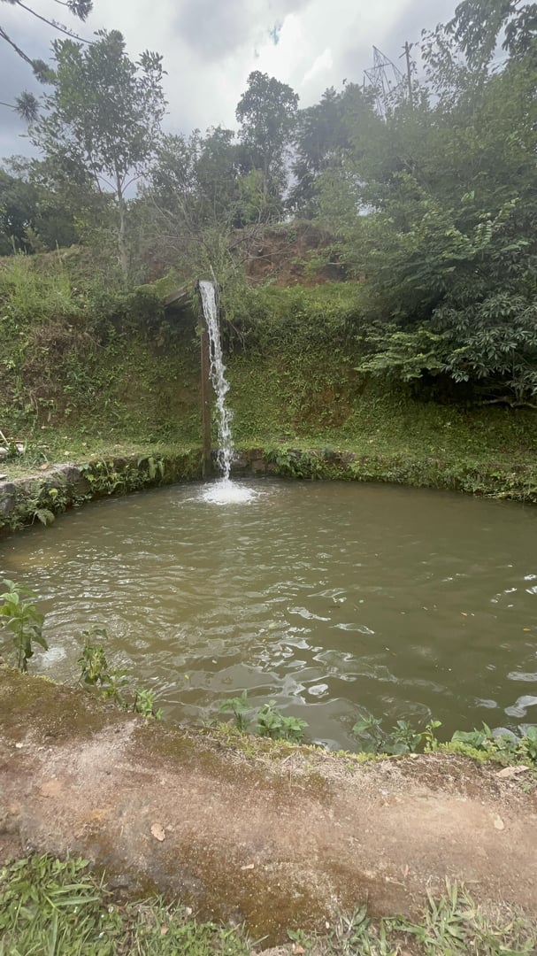 Foto 10 de 11