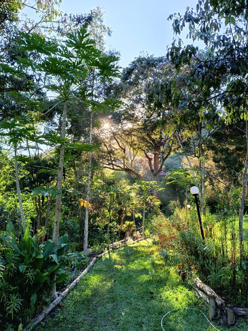 Foto 5 de 12