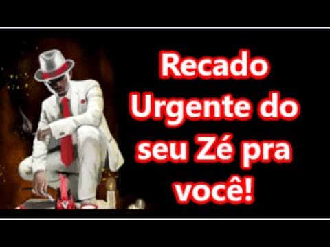 Foto 2 de 2