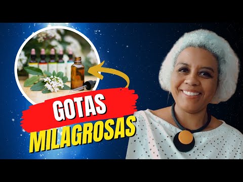 Foto 2 de 2