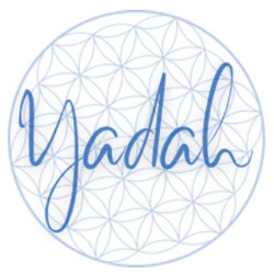 Yadah conexões