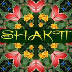 Yoga SHAKTI
