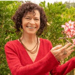 Mônica Goberstein