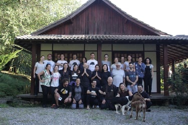 Foto 12 de 14