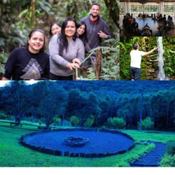 Foto 6 de 7