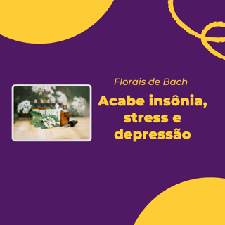 Acabe com Insônia, Stress e Depressão - Florais de Bach