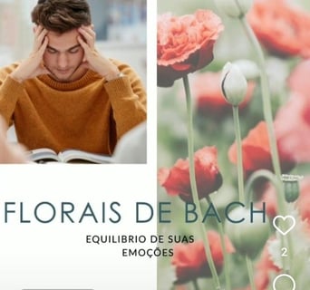Terapia online Florais de bach