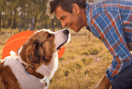Comunicação Intuitiva com Animais