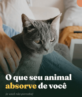 Comunicação Intuitiva com Gatos