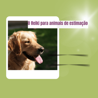 Reiki para animais de estimação