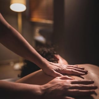 Terapia Manual Sistêmica