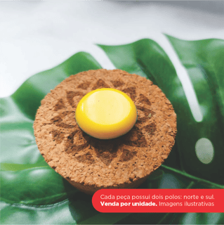 Elementoterapia Magnética