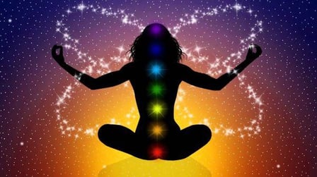 Reiki a distância para seu pet
