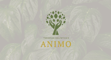 Terapia Holística e Naturopatia
