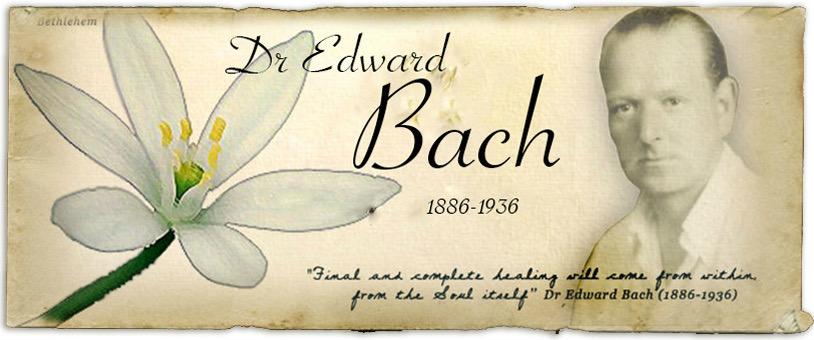 Terapia Floral de Bach