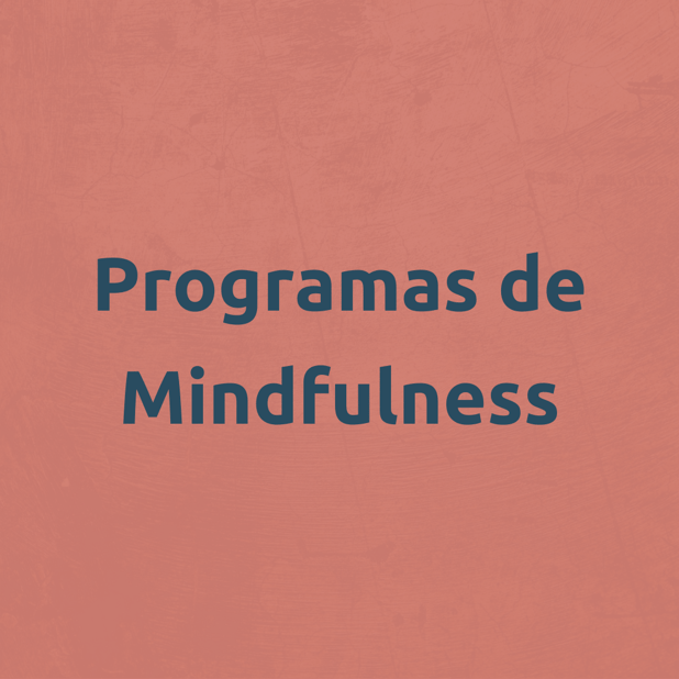 8 sessões - Programa Completo