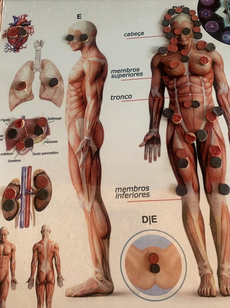 Sessão de Biomagnetismo