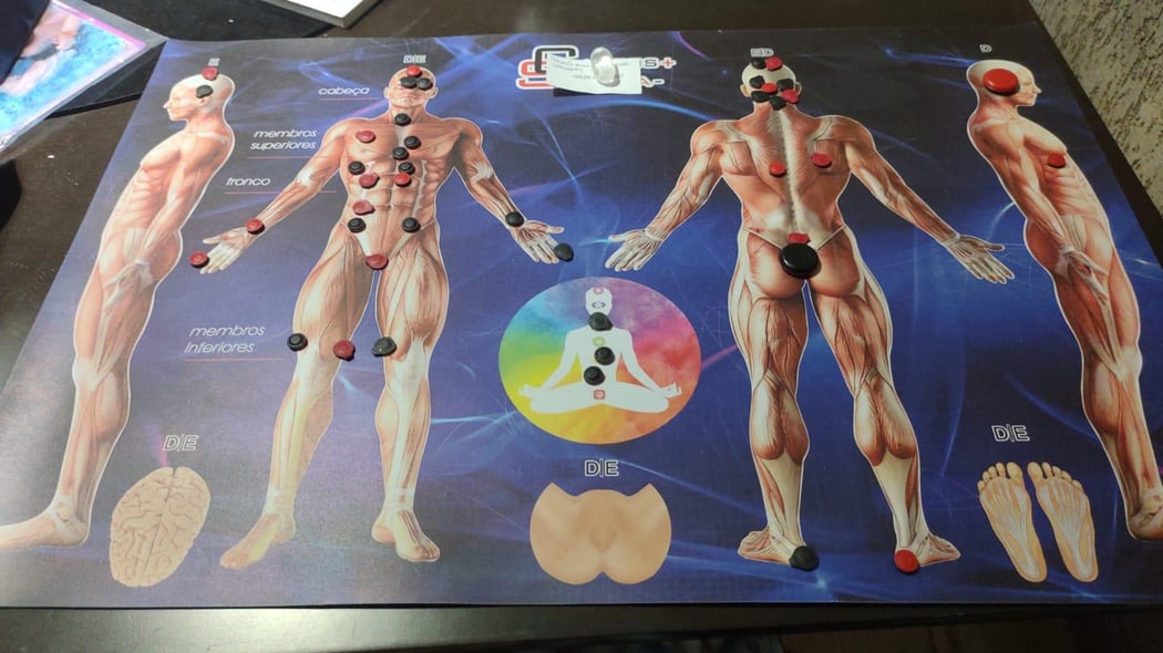 Sessão de Biomagnetismo
