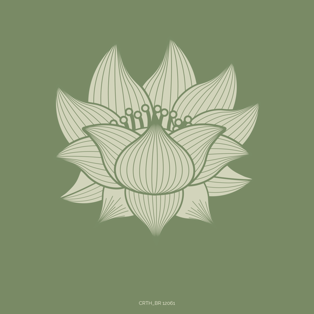 Sessão de Reiki.