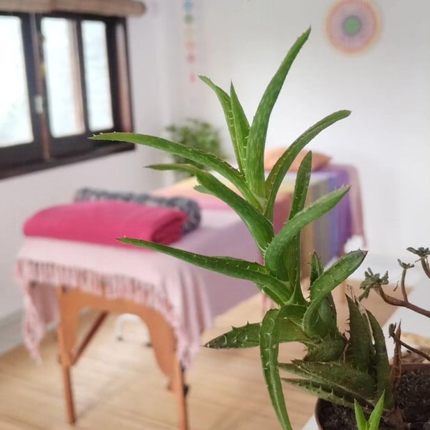 Sessão de Reiki a Distância