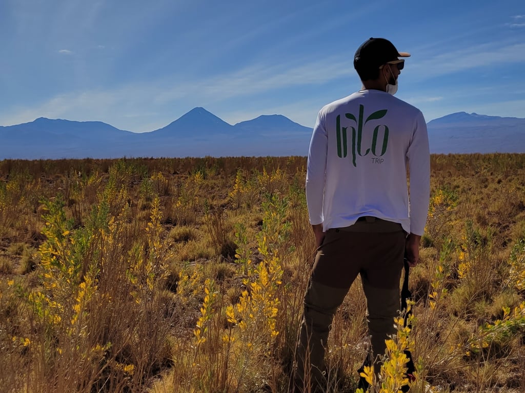 Imersão Atacama OUT/26