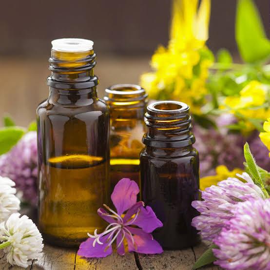 Terapia Floral Vibracional ou Convencional