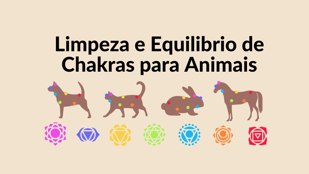 Limpeza e Equilíbrio dos Chakras para Animais