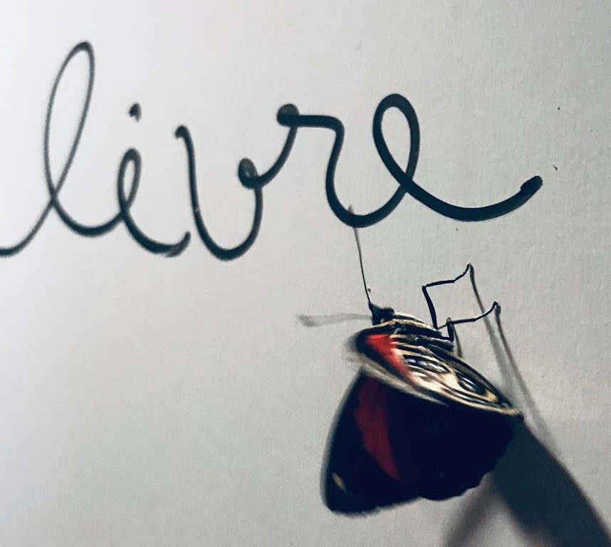 Transtorno Bipolar? Encontre sua liberdade!