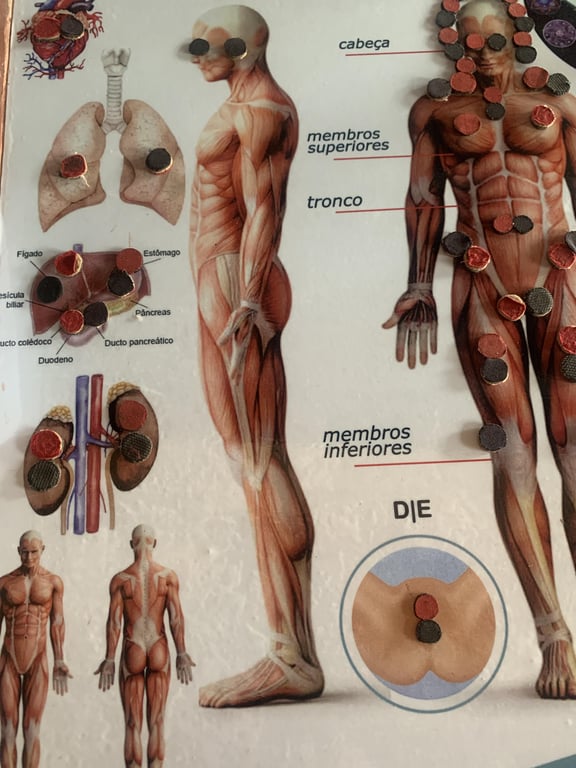 Terapia de Biomagnetismo