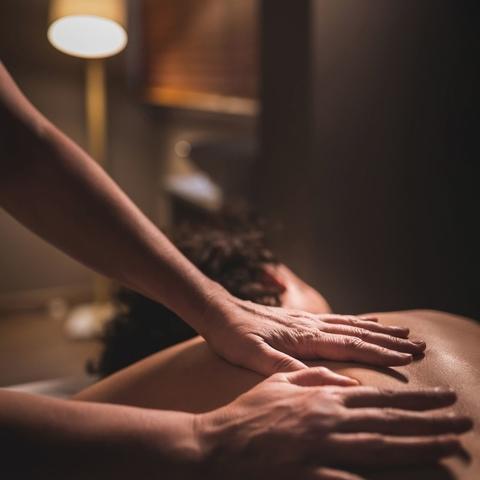 Terapia Manual Sistêmica