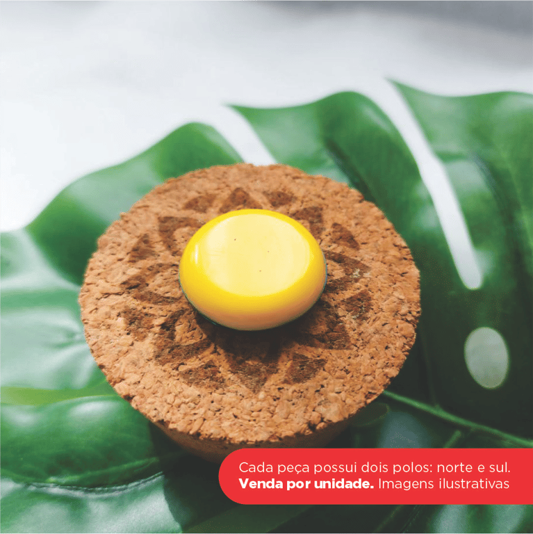 Elementoterapia Magnética