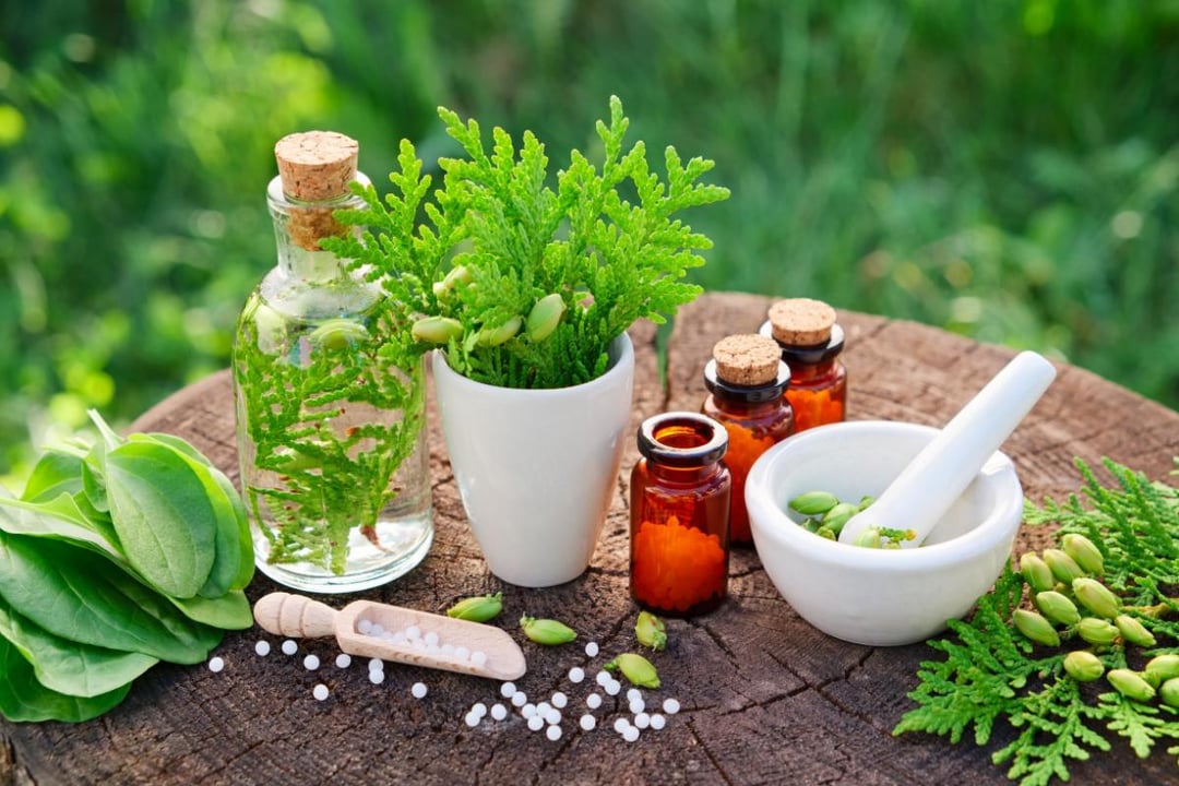 Fitoterapia & Naturopatia