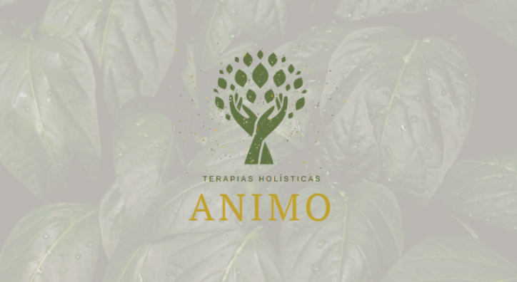 Terapia Holística e Naturopatia