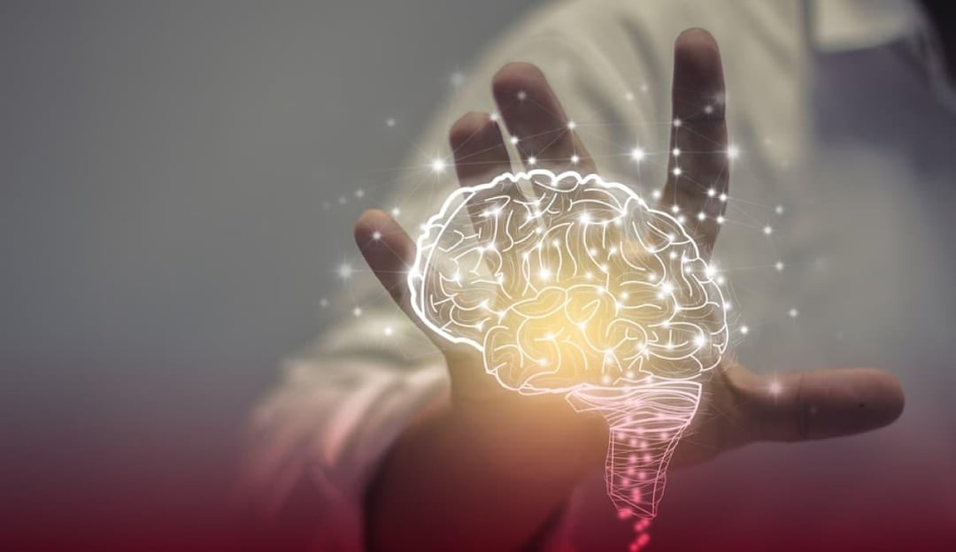 Psicóloga Clínica - Terapia Cognitivo Comportamental