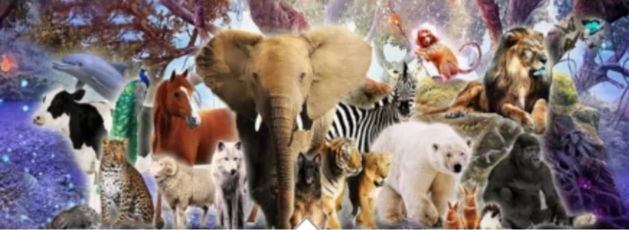Qual é o seu Animal de Poder?